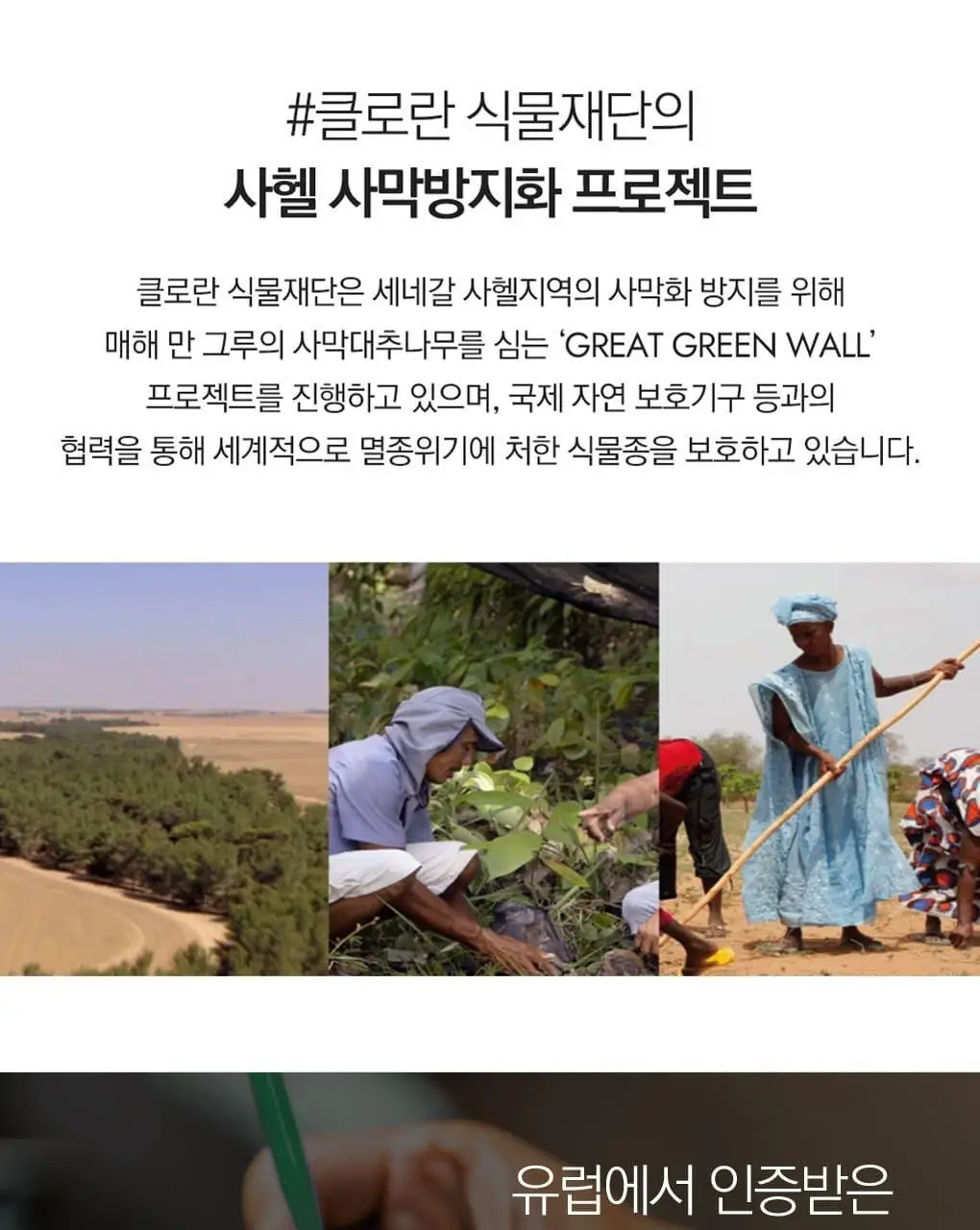 [지성두피 & 피지 제거] 클로란 네틀 노세범 샴푸 400ml 상세페이지 13
